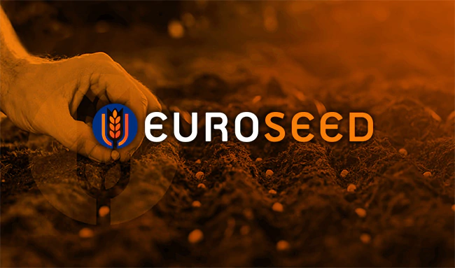 hexabit portfolio - 20euroseeds