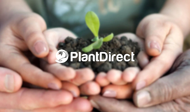 hexabit portfolio - 35plantdirect