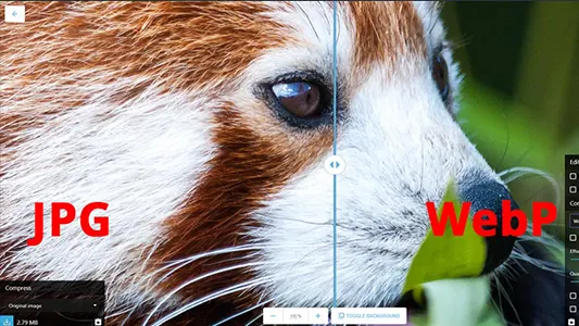 webp internet imge format